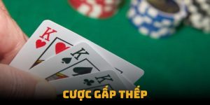 cược gấp thếp
