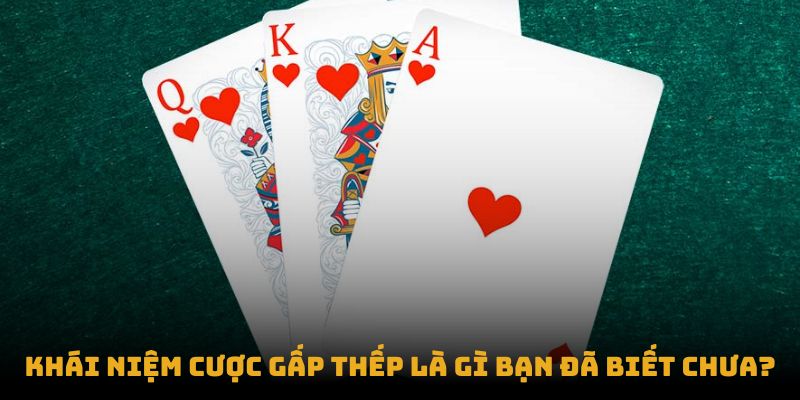 tổng quan về cược gấp thếp